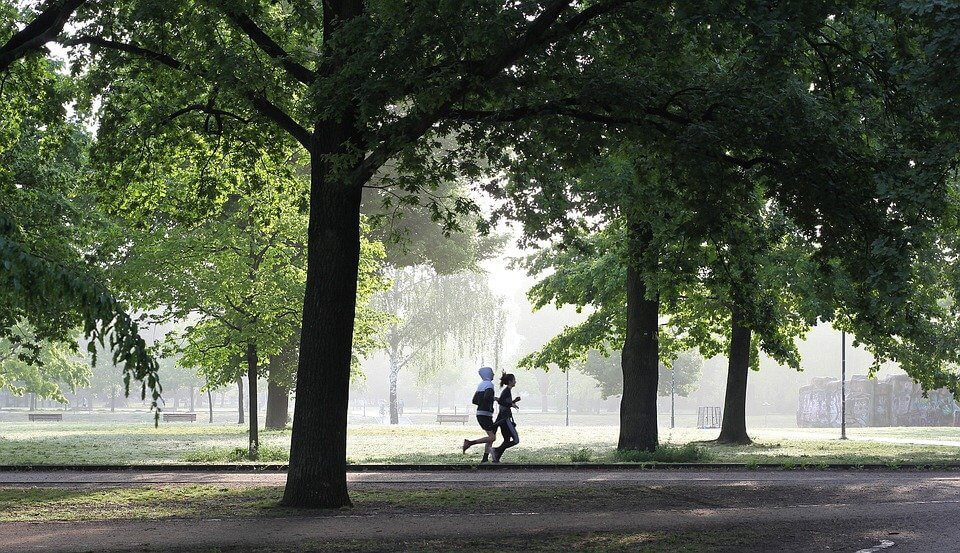 sport